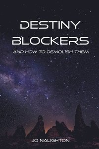 bokomslag Destiny Blockers