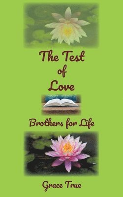 bokomslag The Test of Love