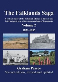 bokomslag The Falklands Saga