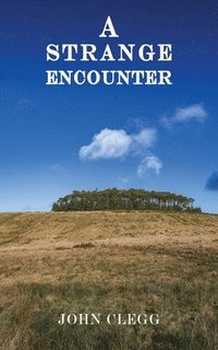 bokomslag Strange Encounter