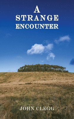 bokomslag Strange Encounter