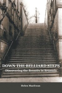 bokomslag Down The Belliard Steps
