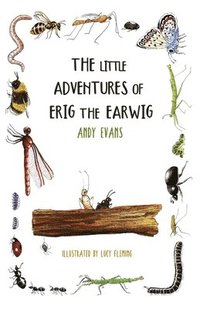 bokomslag The Little Adventures of Erig the Earwig