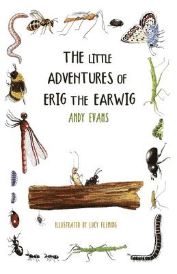 Andy Evans - Little Adventures of Erig the Earwig, Häftad