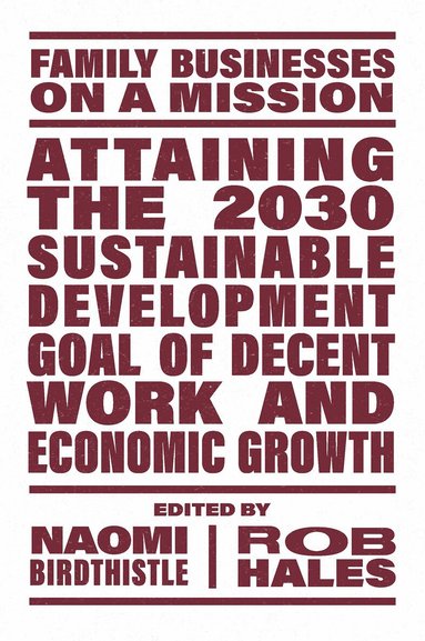 Naomi Birdthistle, Rob Hales - Attaining the 2030 Sustainable Development Goal of Decent Work and Economic Growth, Häftad