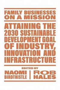 bokomslag Attaining the 2030 Sustainable Development Goal of Industry, Innovation and Infrastructure