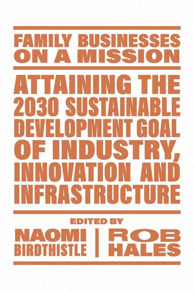 Naomi Birdthistle, Rob Hales - Attaining the 2030 Sustainable Development Goal of Industry, Innovation and Infrastructure, Häftad