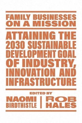 bokomslag Attaining the 2030 Sustainable Development Goal of Industry, Innovation and Infrastructure