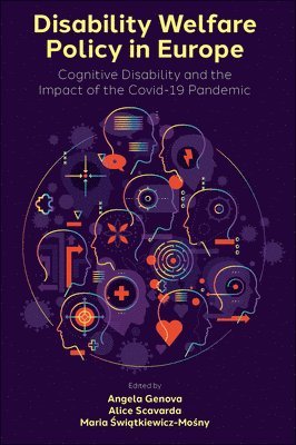 bokomslag Disability Welfare Policy in Europe