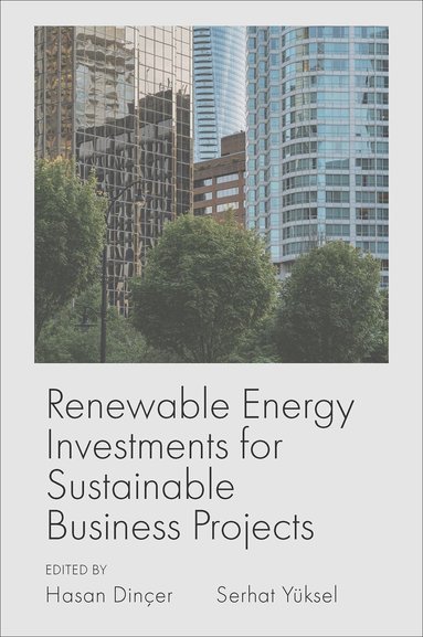 Hasan Dinçer, Serhat Yüksel - Renewable Energy Investments for Sustainable Business Projects, Inbunden