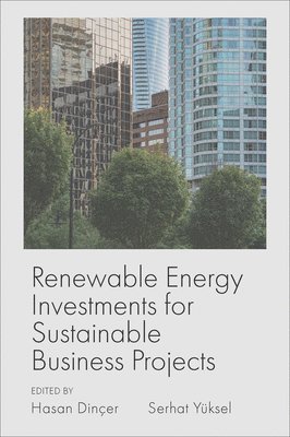 Renewable Energy Investments for Sustainable Business Projects 1