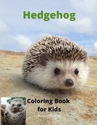 bokomslag Hedgehog Coloring Book for Kids