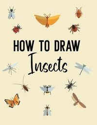 bokomslag How to Draw Insects