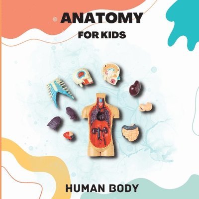 Human Body Anatomy for Kids 1