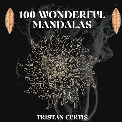 100 Wonderful Mandalas Coloring Book 1