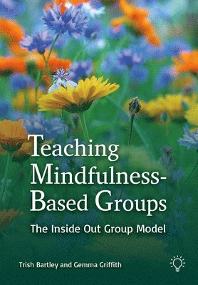 bokomslag Teaching Mindfulness-Based Groups