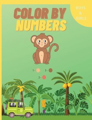 bokomslag Color by Numbers