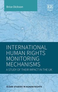 bokomslag International Human Rights Monitoring Mechanisms