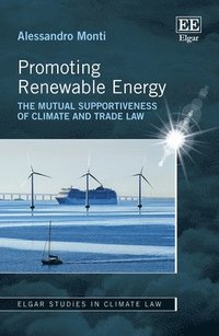 bokomslag Promoting Renewable Energy