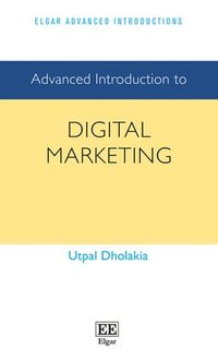 bokomslag Advanced Introduction to Digital Marketing