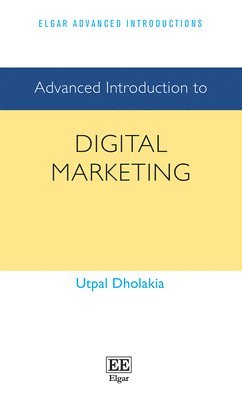 bokomslag Advanced Introduction to Digital Marketing