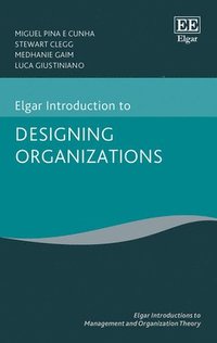 bokomslag Elgar Introduction to Designing Organizations