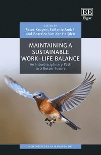 bokomslag Maintaining a Sustainable WorkLife Balance