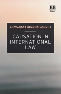 bokomslag Causation in International Law