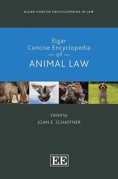 Joan E. Schaffner - Elgar Concise Encyclopedia of Animal Law, Inbunden
