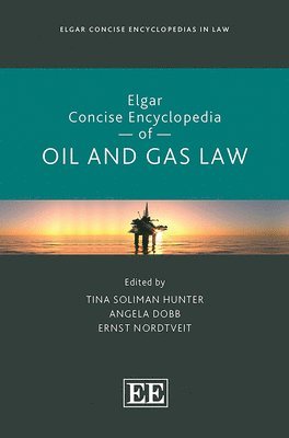 bokomslag Elgar Concise Encyclopedia of Oil and Gas Law