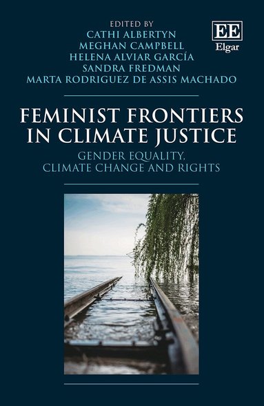 Cathi Albertyn, Meghan Campbell, Helena Alviar García, Sandra Fredman, Marta Rodriguez de Assis Machado - Feminist Frontiers in Climate Justice, Inbunden