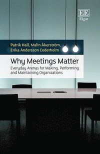 bokomslag Why Meetings Matter