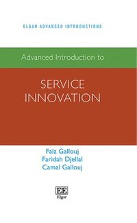 bokomslag Advanced Introduction to Service Innovation