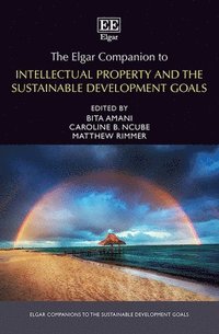 bokomslag The Elgar Companion to Intellectual Property and the Sustainable Development Goals