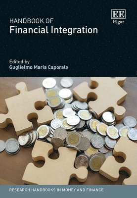 bokomslag Handbook of Financial Integration