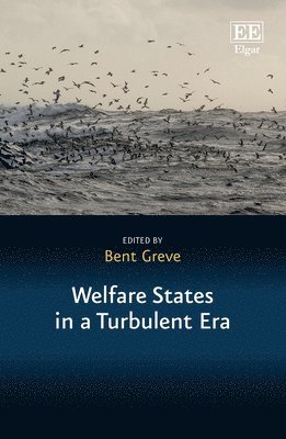 bokomslag Welfare States in a Turbulent Era