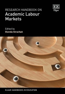 bokomslag Research Handbook on Academic Labour Markets