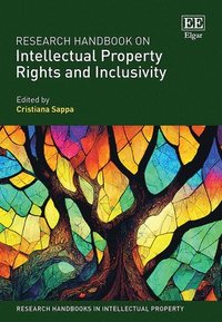 bokomslag Research Handbook on Intellectual Property Rights and Inclusivity