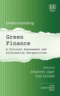 bokomslag Understanding Green Finance