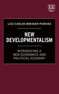 bokomslag New Developmentalism