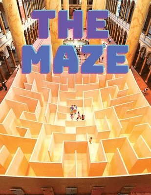 Exotic Publisher - Maze Puzzles Book, Häftad