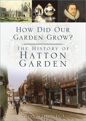 Vivian Watson - How Did Our Garden Grow?, Häftad
