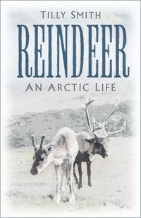 bokomslag Reindeer