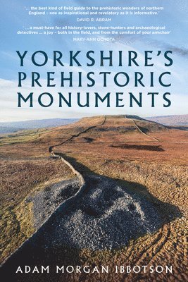 bokomslag Yorkshire's Prehistoric Monuments