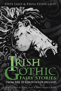 bokomslag Irish Gothic Fairy Stories