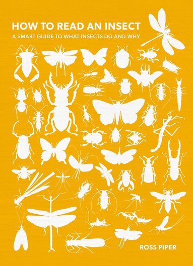 Ross Piper - How to Read an Insect, Häftad