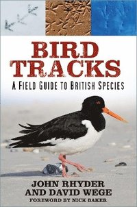bokomslag Bird Tracks