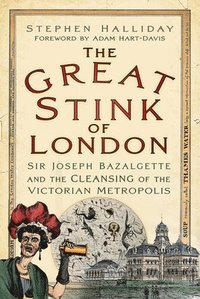 bokomslag The Great Stink of London