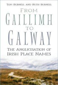 bokomslag From Gaillimh to Galway