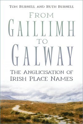 bokomslag From Gaillimh to Galway